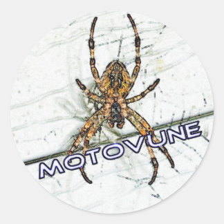 Sticker Rond Couleur d'araignée MOTOVUNE