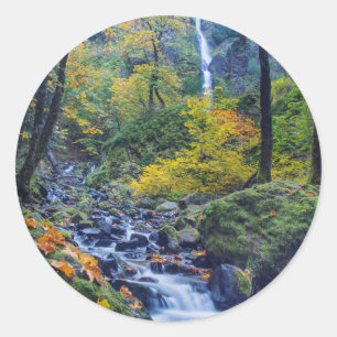 Sticker Rond Couleur d'automne le long des chutes de Starvation