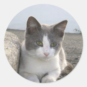 Sticker Rond "Couleur de bourgeon"