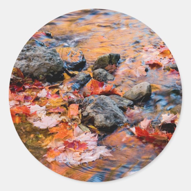Sticker Rond couleur des feuilles d'automne (Devant)