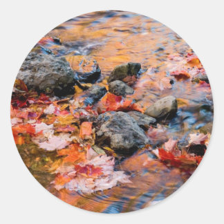 Sticker Rond couleur des feuilles d'automne