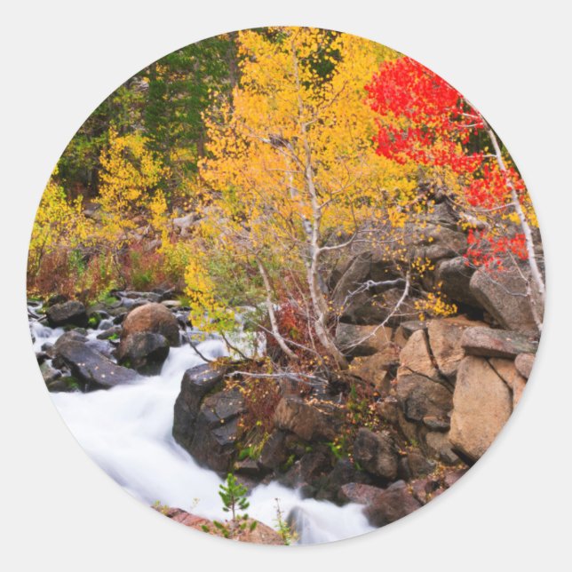 Sticker Rond Couleurs d'automne le long de Bishop Creek, CA (Devant)