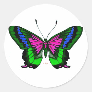 Sticker Rond Couleurs lumineuses d'été 5