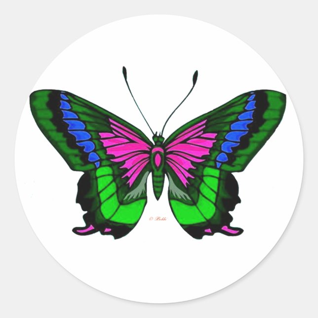 Sticker Rond Couleurs lumineuses d'été 5 (Devant)