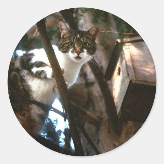 Sticker Rond Coupable ! (Devant)