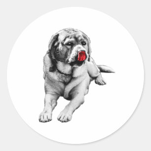 Sticker Rond Coupe de langue rouge - Coche