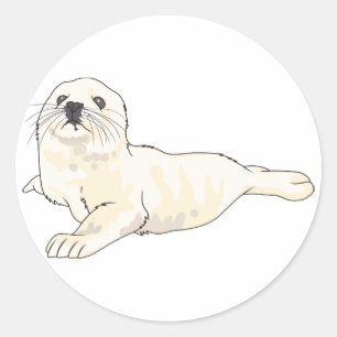 Sticker Rond Coupe de phoque de harpe