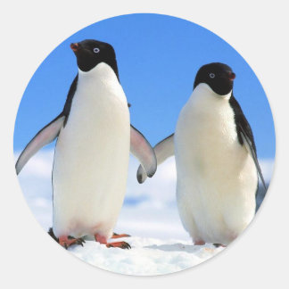 Sticker Rond Couple de pingouin