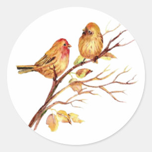 Sticker Rond Couple d'oiseaux d'aquarelle mou sur l'art de la b