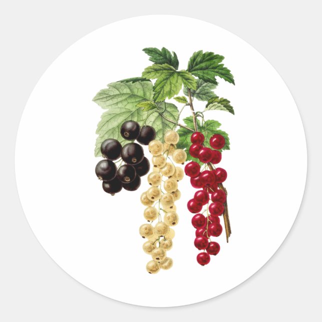 Sticker Rond Courants rouge, blanc et noir (Devant)