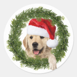 Sticker Rond Couronne de Noël Golden Retriever