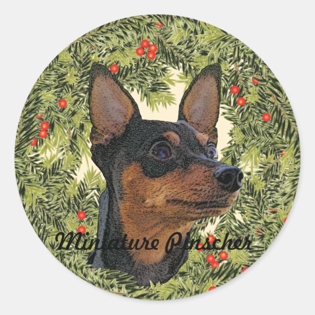 Sticker Rond Couronne miniature Pinscher (Devant)