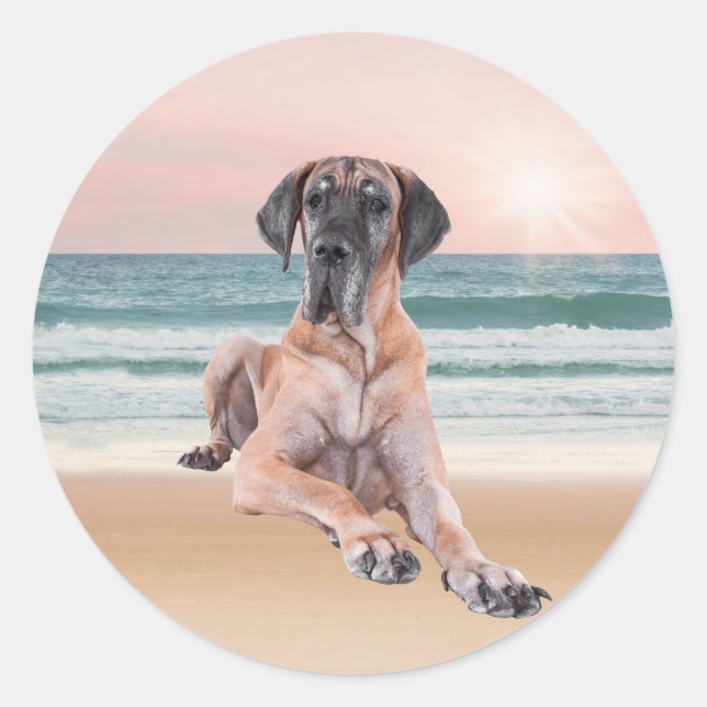 Sticker Rond Coutume Grand Chien Danse assis sur la plage (Devant)