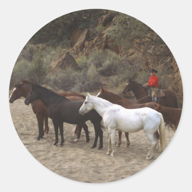Sticker Rond Cowboy avec troupeau (Devant)
