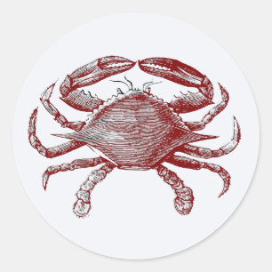 Sticker Rond Crabby Rouge crayon rouge Crabe de l'océan Art