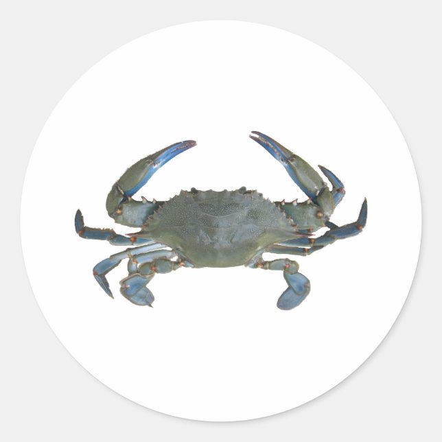 Sticker Rond Crabe bleu "Jimmy" (Devant)
