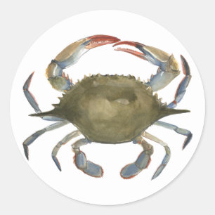 Sticker Rond Crabe d'aquarelle - gris
