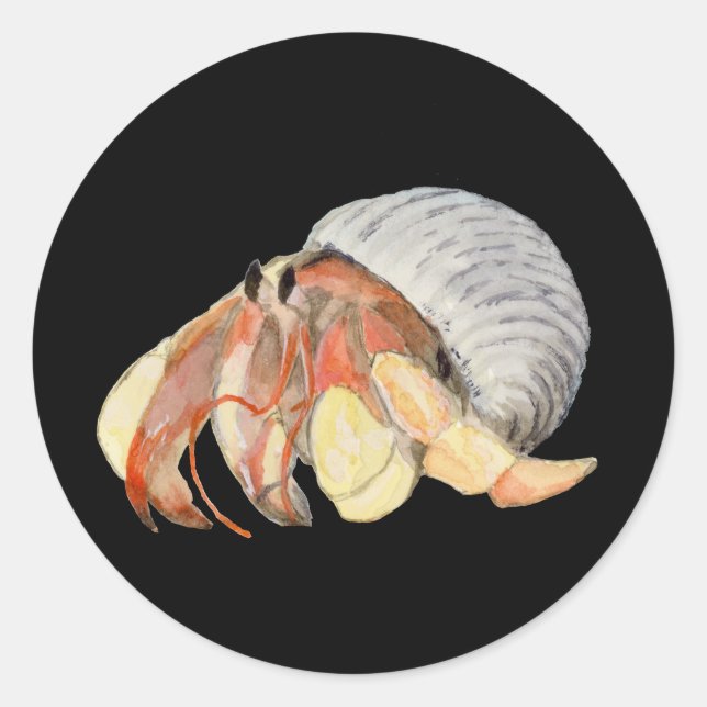 Sticker Rond Crabe hermite (Devant)