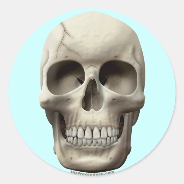 Sticker Rond Crack (Devant)