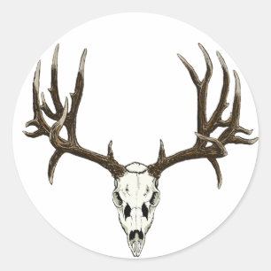 Sticker Rond Crâne de Mule Deer