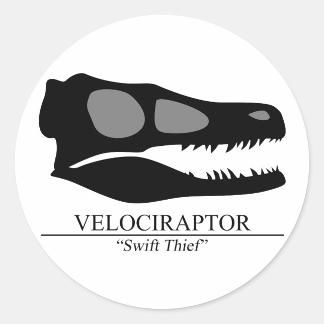 Sticker Rond Crâne Velociraptor (Devant)