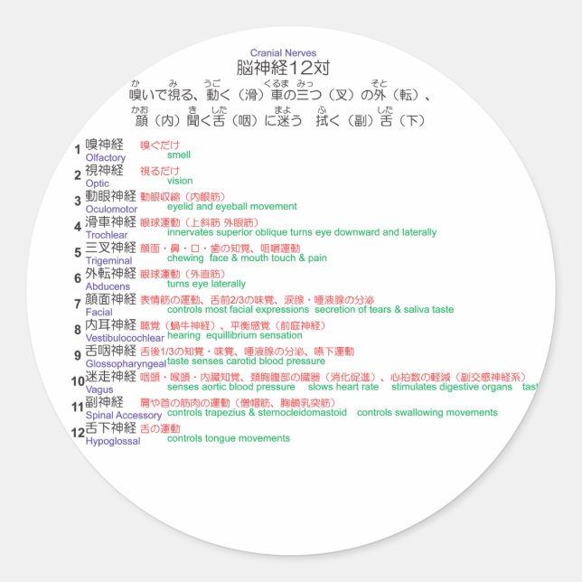 Sticker Rond Cranial Nerves japonais 12 (Devant)