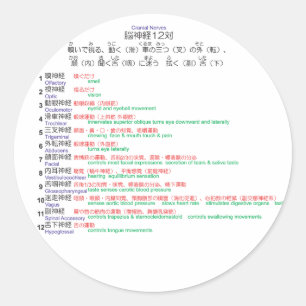 Sticker Rond Cranial Nerves japonais 12