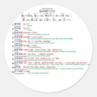 Sticker Rond Cranial Nerves japonais 12