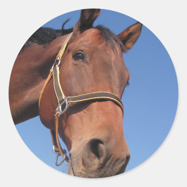 Sticker Rond Créez votre propre cadeau photo personnalisé (Devant)