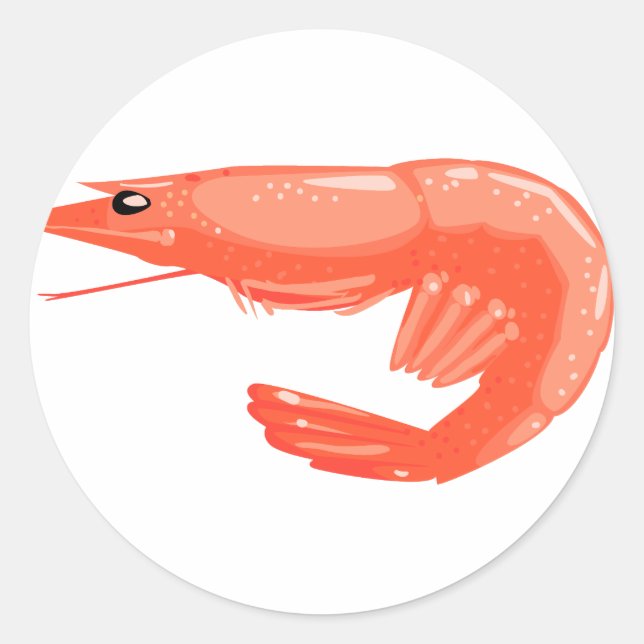 Sticker Rond Crevettes bouillies (Devant)