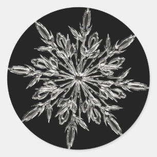 Sticker Rond Cristal de glace unique sur fond noir