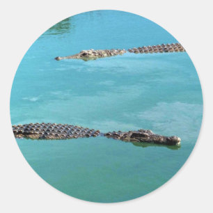 Sticker Rond Crocodiles du Nil