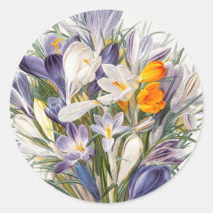 Sticker Rond Crocus Spring Flower Botanique Floral Art