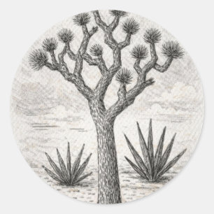 Sticker Rond croquis d'arbre de joshua art de croquis du dése