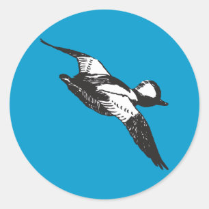 Sticker Rond Croquis de Bufflehead