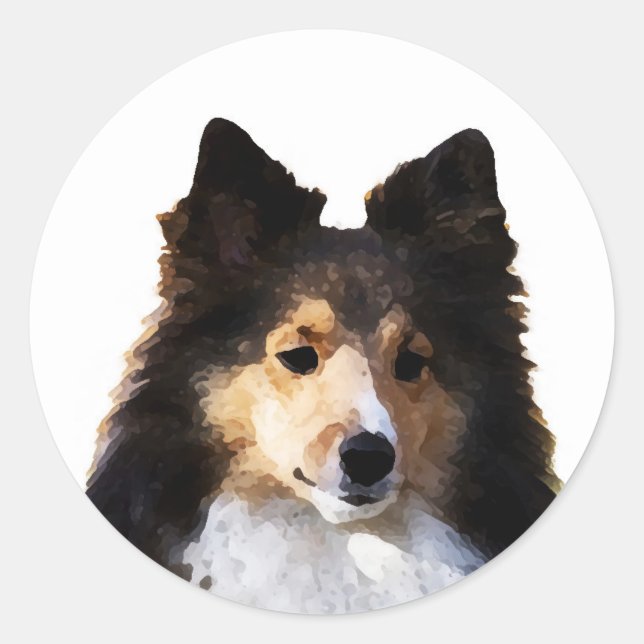Sticker Rond Croquis de peinture Sheltie Dog (Devant)