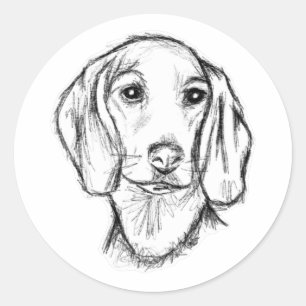 Sticker Rond croquis de teckel dessiné à la main en noir et bla