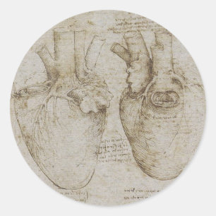 Sticker Rond Croquis humains d'anatomie du coeur de da Vinci