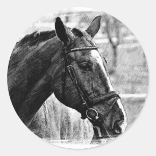 Sticker Rond Croquis noir blanc