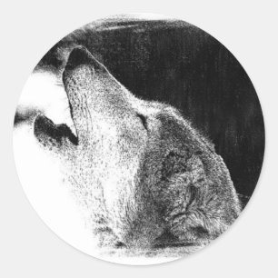 Sticker Rond Croquis noir et blanc Loup gris