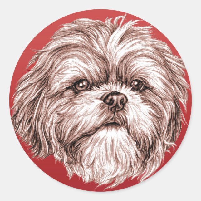 Sticker Rond Croquis Shih Tzu (Devant)