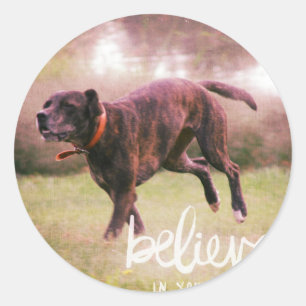 Sticker Rond Croyez en votre chien