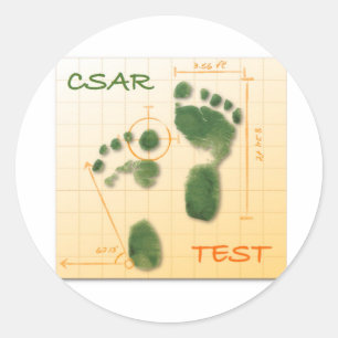 STICKER ROND CTF FTE