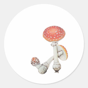 Sticker Rond Cuisine de champignons vintages - Sciences Botaniq
