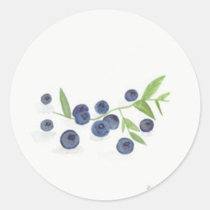 Sticker Rond Cuisine de fruits Blueberries aquarelle rustique c