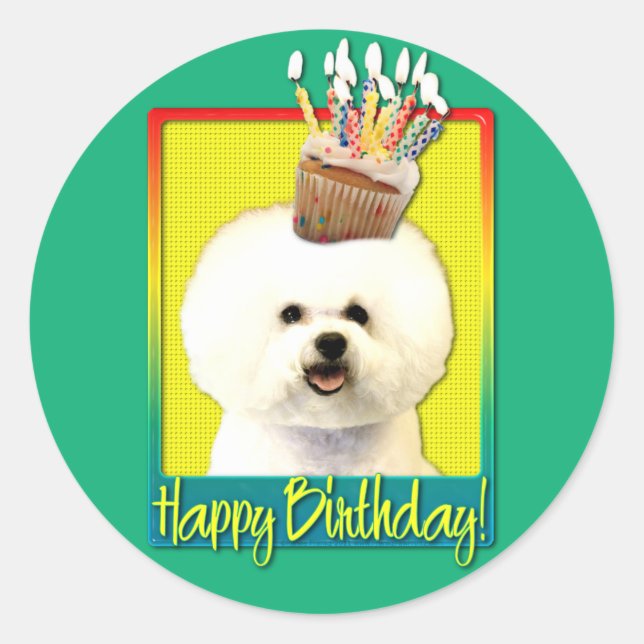 Sticker Rond Cupcake d'anniversaire - Bichon Frise (Devant)