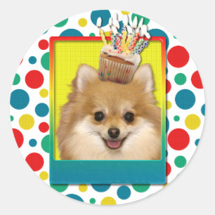 Sticker Rond Cupcake d'anniversaire - Pomeranian