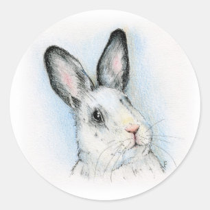 Sticker Rond Curieux