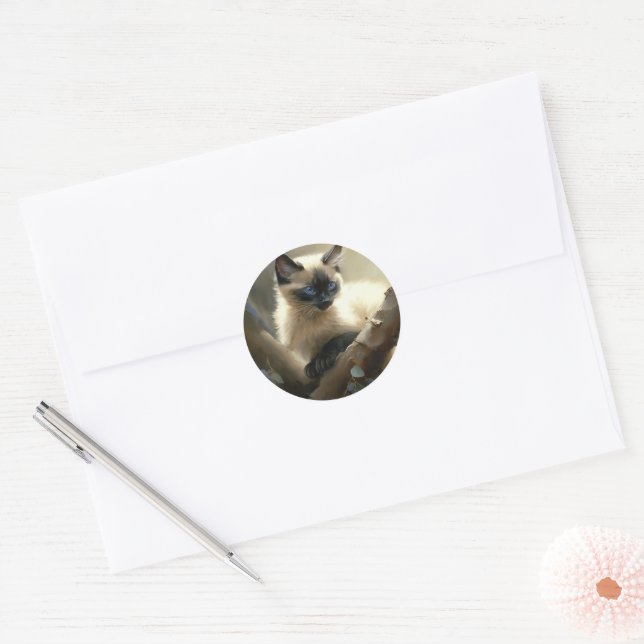 Sticker Rond Curieux grimpeur Siamese Kitten (Enveloppe)