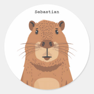 Sticker Rond Curieux portrait Capybara
